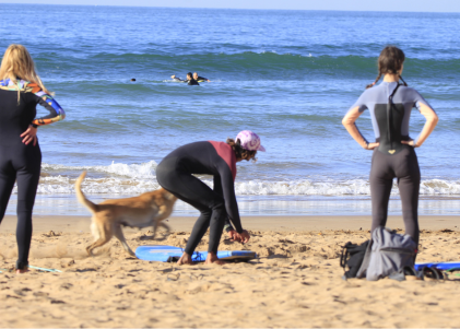 Taghazout surf lessons